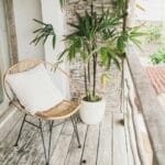 Rattanowy fotel z poduszką i zieloną rośliną na spokojnym balkonie